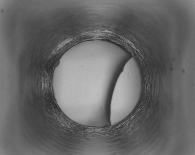 X0000087621158200704271130