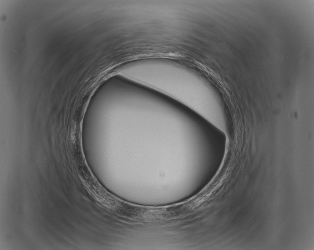 X0000087621161200704271130