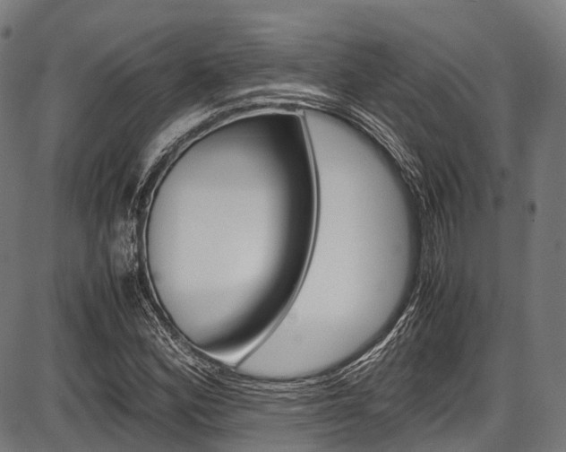 X0000087621164200704271130