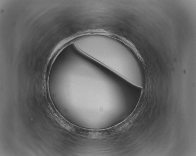 X0000087621176200704271129