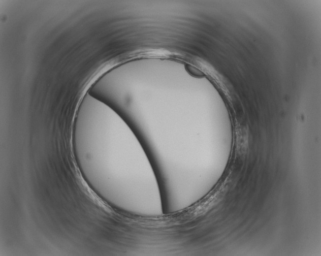 X0000087621194200704271129
