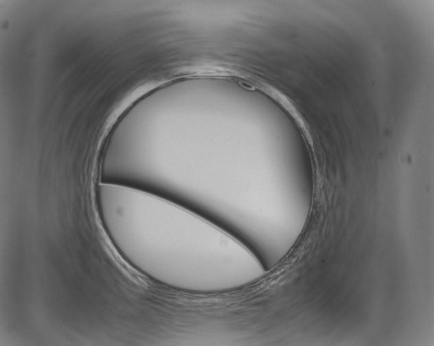 X0000087621195200704271129