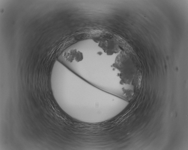 X0000087621204200704271128