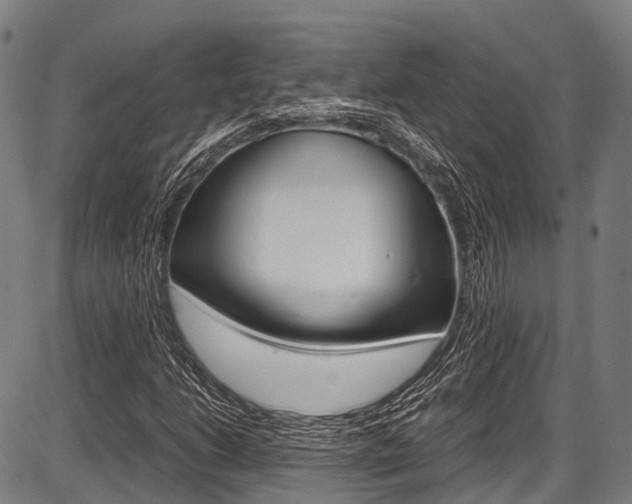 X0000087621206200704271128