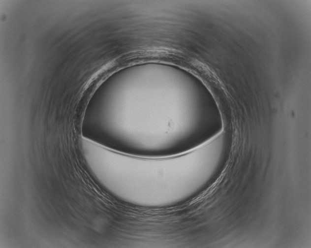 X0000087621210200704271128