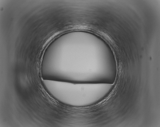 X0000087621212200704271128