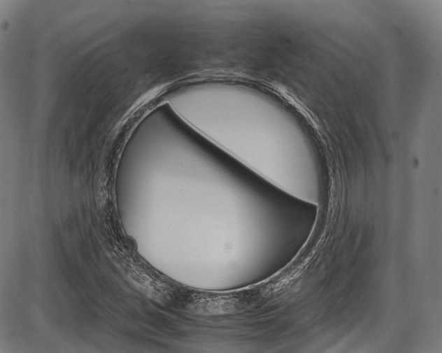 X0000087621213200704271128
