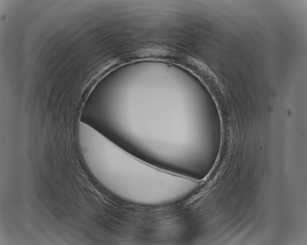 X0000087621217200704271128