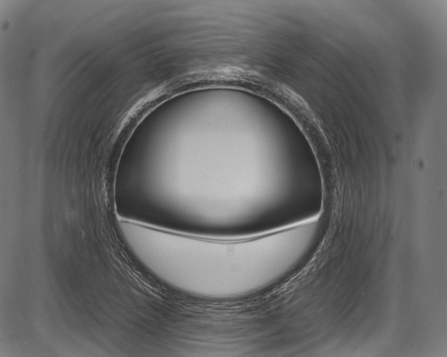 X0000087621218200704271128