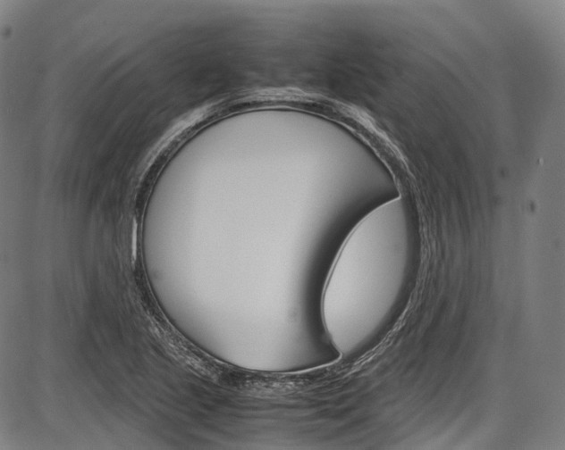 X0000087621221200704271129