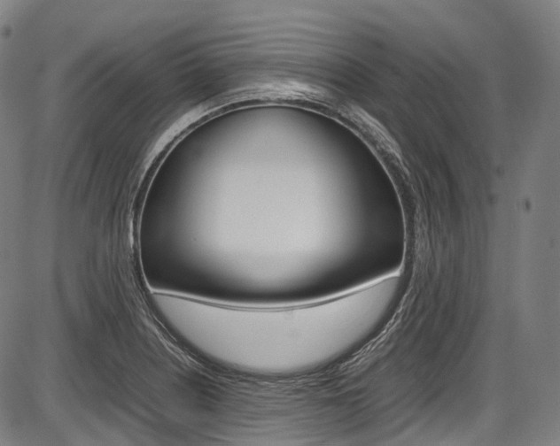 X0000087621226200704271129
