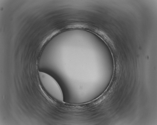 X0000087621233200704271129