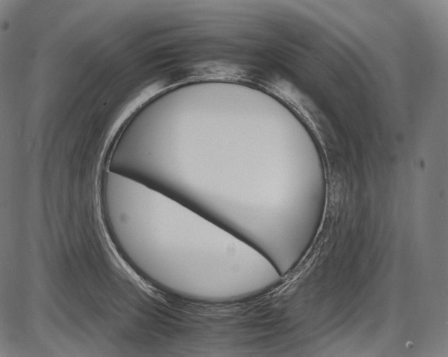 X0000087621235200704271129