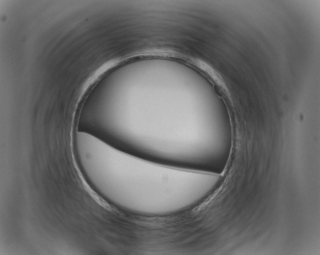 X0000087621237200704271129