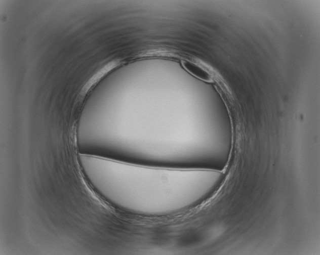 X0000087621241200704271129