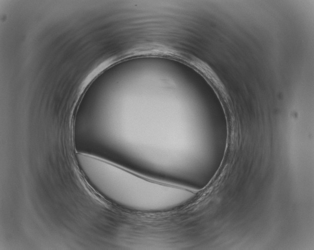 X0000087621242200704271129