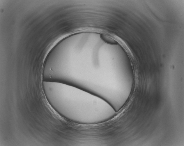 X0000087621244200704271129