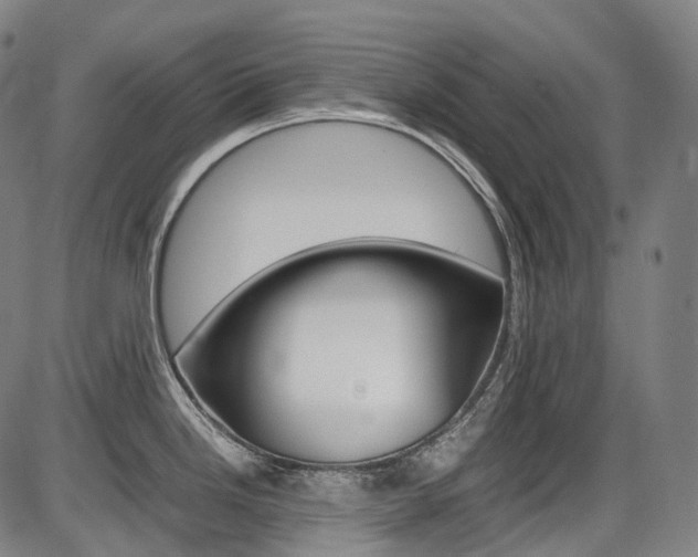 X0000087621246200704271129