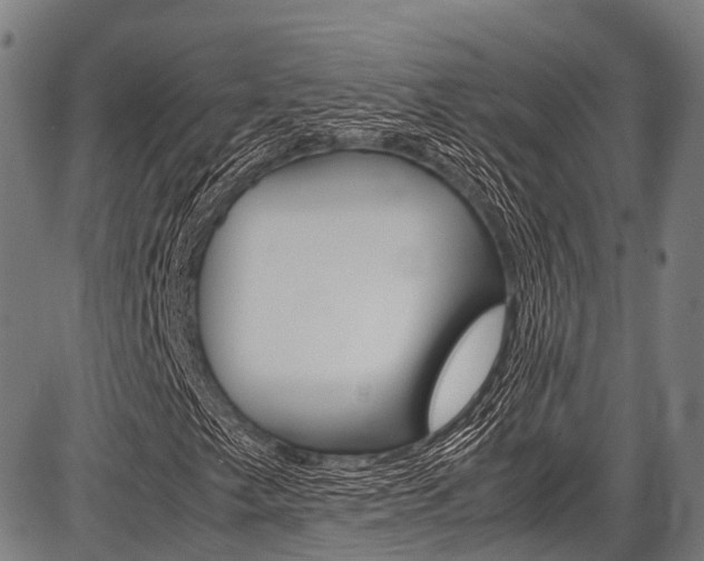 X0000087621249200704271128