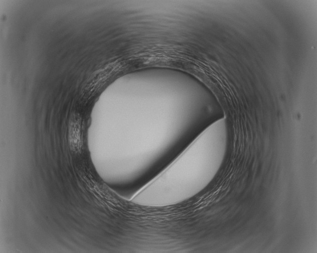 X0000087621250200704271128