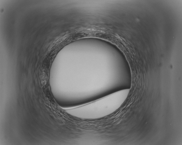 X0000087621253200704271128
