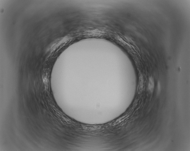 X0000087621254200704271128