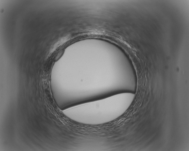 X0000087621255200704271128