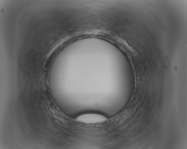 X0000087621256200704271128