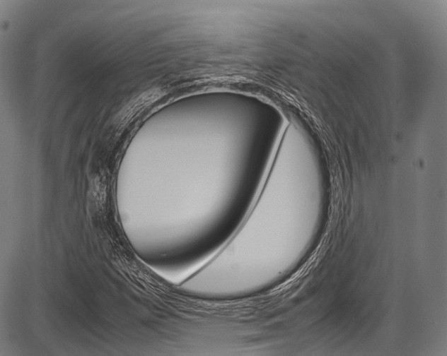 X0000087621257200704271128