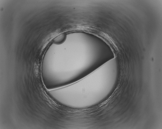 X0000087621260200704271128