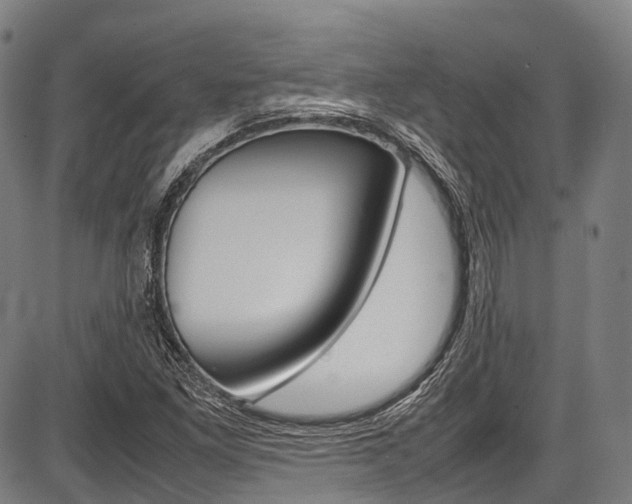 X0000087621261200704271128