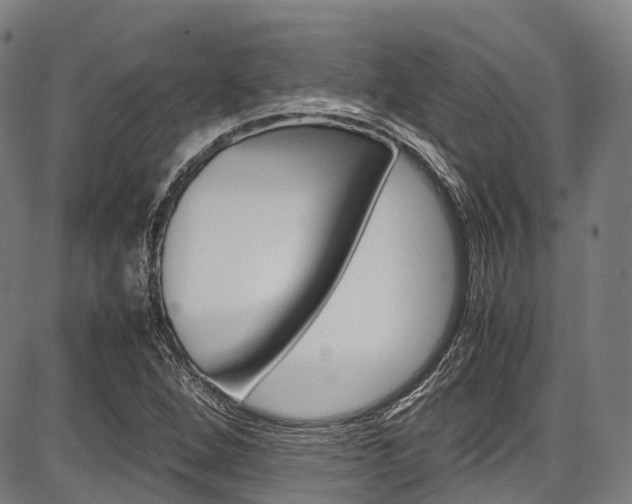 X0000087621264200704271128