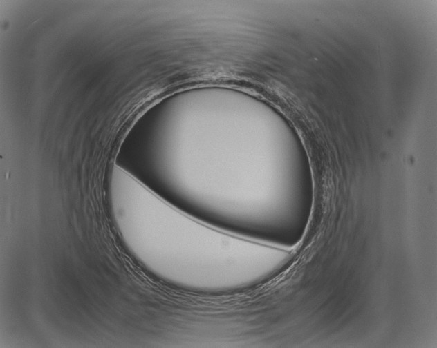 X0000087621265200704271128