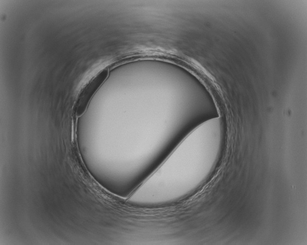 X0000087621269200704271128