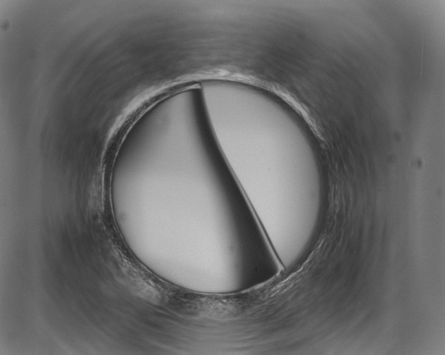 X0000087621270200704271128