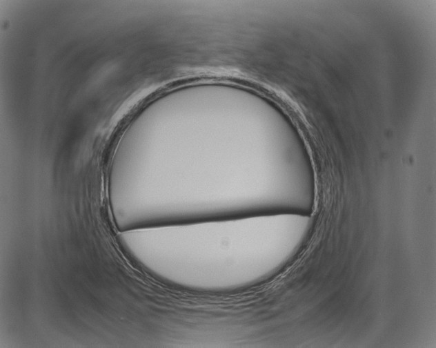 X0000087621271200704271128
