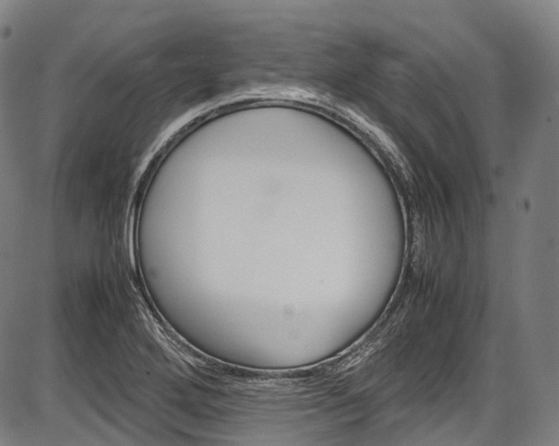 X0000087621272200704271128