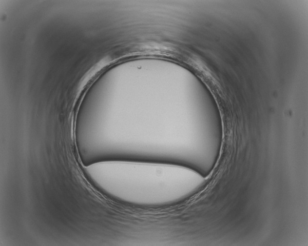 X0000087621275200704271128