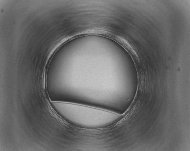 X0000087621276200704271128