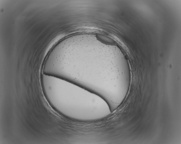 X0000087621283200704271128