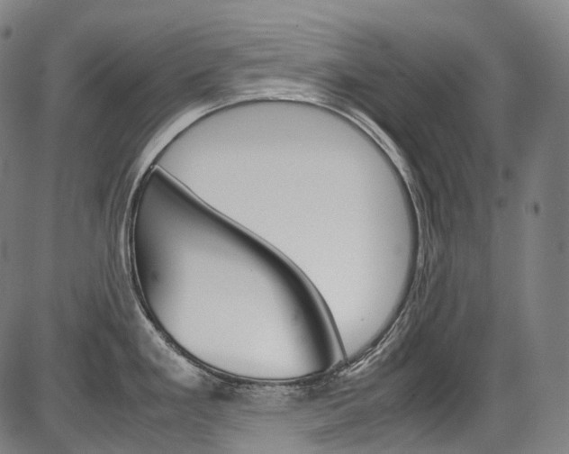 X0000087621293200704271127
