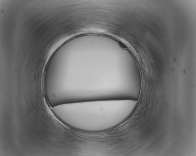 X0000087621295200704271127