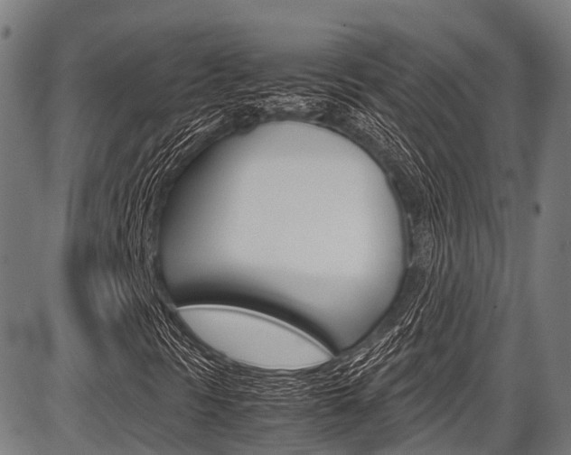 X0000087621297200704271127