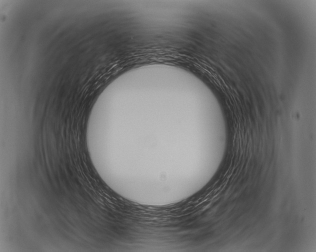 X0000087621298200704271127