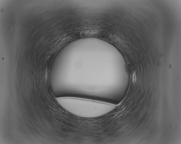X0000087621299200704271127