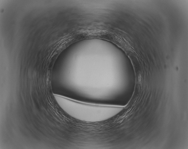X0000087621300200704271127