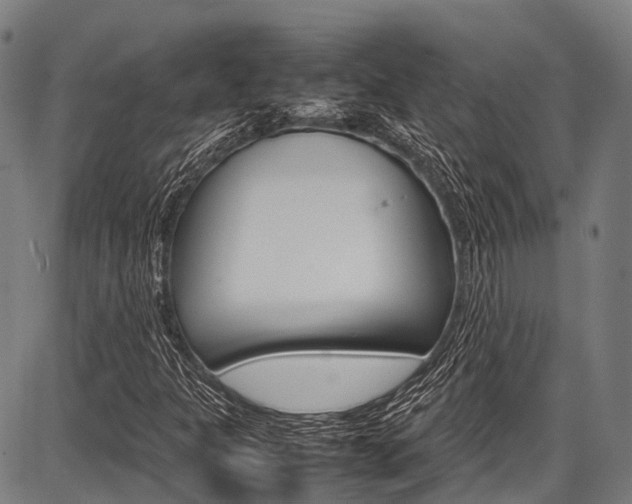 X0000087621301200704271127