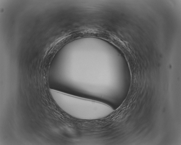 X0000087621303200704271127