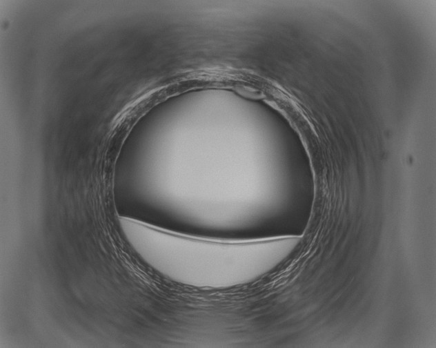 X0000087621304200704271127