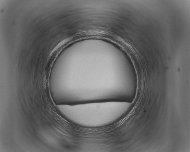 X0000087621306200704271127